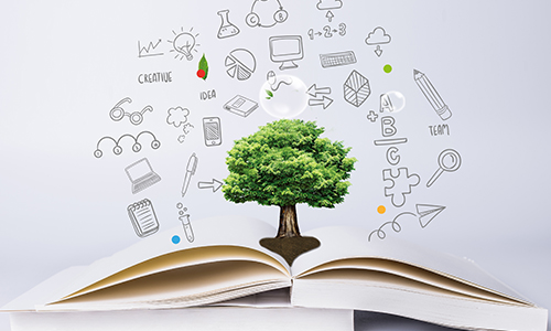 國際學(xué)校課程