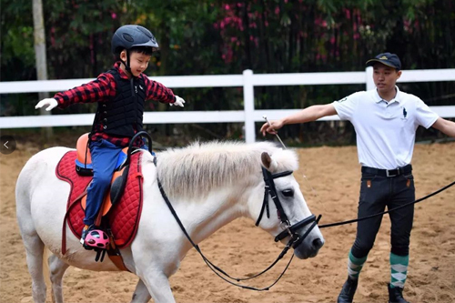 初三學生中考后 國際學校和課程選擇方向