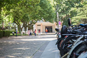 國際學校都是這樣招生的，這五步需要了解！