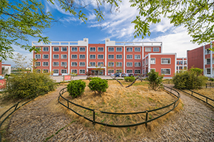 國際學校高中四年如何規劃，才能敲開藤校的大門？