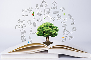 2020年國際學校家長收藏！今年下半年A-Level、IB、AP考試完整時間軸！