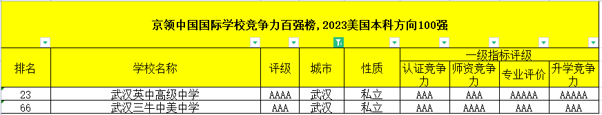 2023年武漢國際高中排名(京領美國留學方向)